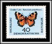 Large Tortoisesshell (Nymphalis polychloros)