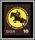 Show Jumping