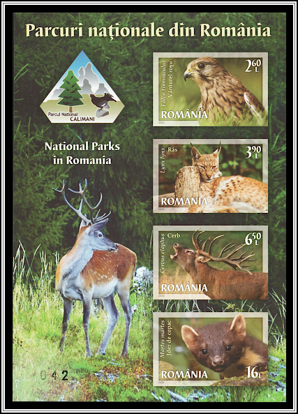 Călimani National Park