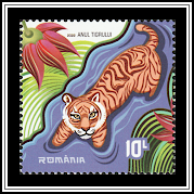 Tiger Wading in the Water