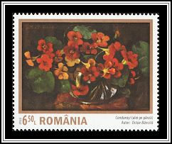 Nasturtiums
