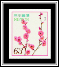 Plum Blossoms (Prunus mume)