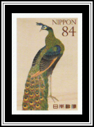 Green Peafowl (Pavo muticus)
