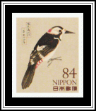 Great Spotted Woodpecker