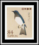 Blue-and-white Flycatcher
