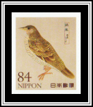 Scaly Thrush (Zoothera dauma)