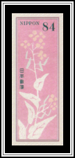 Rapeseed Blossoms