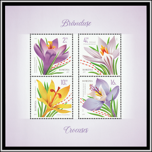 Crocus Souvenir Sheet