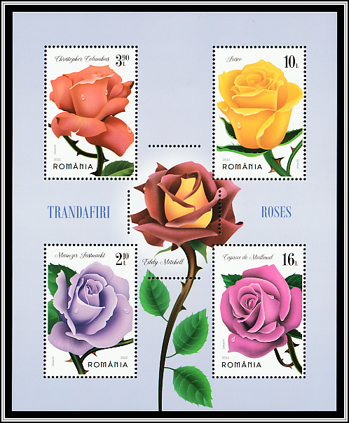 Rose Varieties