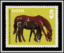 Mare and Foal