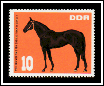 Stallion