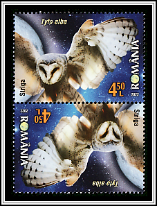 Barn Owl Tête-bêche Type I