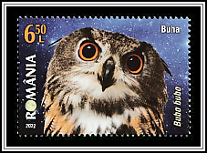 Eurasian Eagle Owl (Bubo bubo)