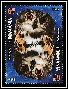 Eurasian EagleOwl Tête-bêche Type I