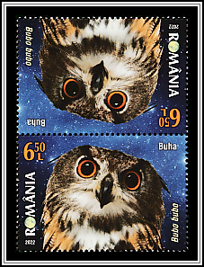 Eurasian Eagle Owl Tête-bêche Type II
