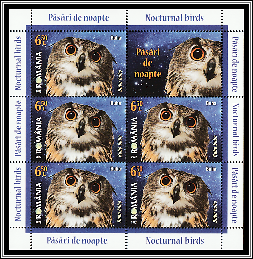 Eurasian Eagle Owl (Bubo bubo)