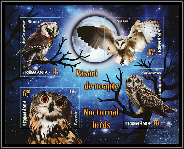 Limited Edition Souvenir Sheet