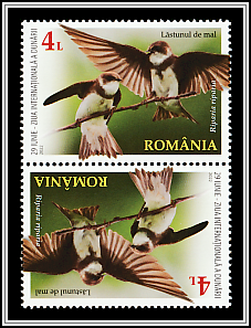 Sand Martin Tête-bêche Type I