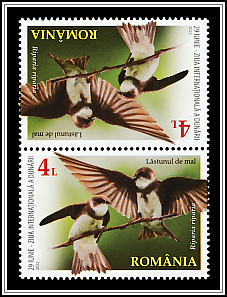 Sand Martin Tête-bêche Type II