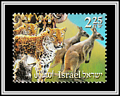 Wolf, Leopards, Goats, Kangaroos, Monkeys