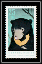 Sun Bear (Helarctos malayanus)