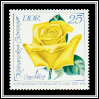 Köpenicker Sommer