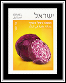 Red Cabbage