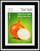 Onion