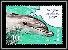 Dolphin