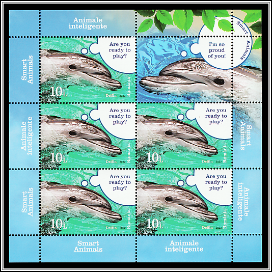Dolphin