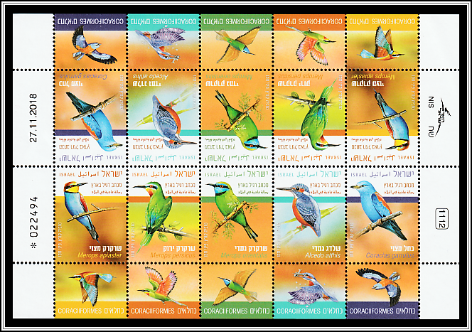 Birds in Israel - Coraciformes