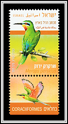 Blue-cheeked Bee-Eater (Merops persicus)
