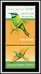 Green Bee-Eater (Merops orientalis)