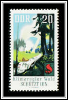 The Forest Regulates the Water Balance of Nature