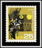 Grain by Night & Day