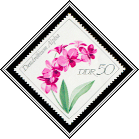 Dendrobium alpha