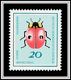 Two-spotted Ladybird (Adalia bipunctata)