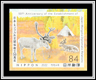 Reindeer