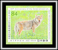 Eurasian Wolf (Canis lupus lupus)