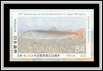 Siberian Taimen (Hucho taimen)