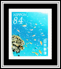 Coral Reef & Tropical Fish
