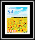 Sunflower Field