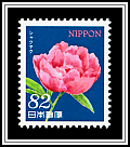 Chinese Peony