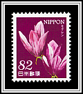 Lily Magnolias