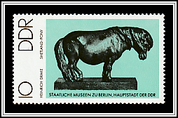 Shetland Pony, Heinrich Drake