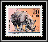 Indian Rhinoceros (Rhinoceros unicornis)