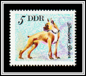 German Boxer