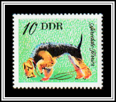 Airedale Terrier
