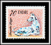 Great Dane