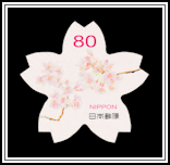 Cherry Blossoms